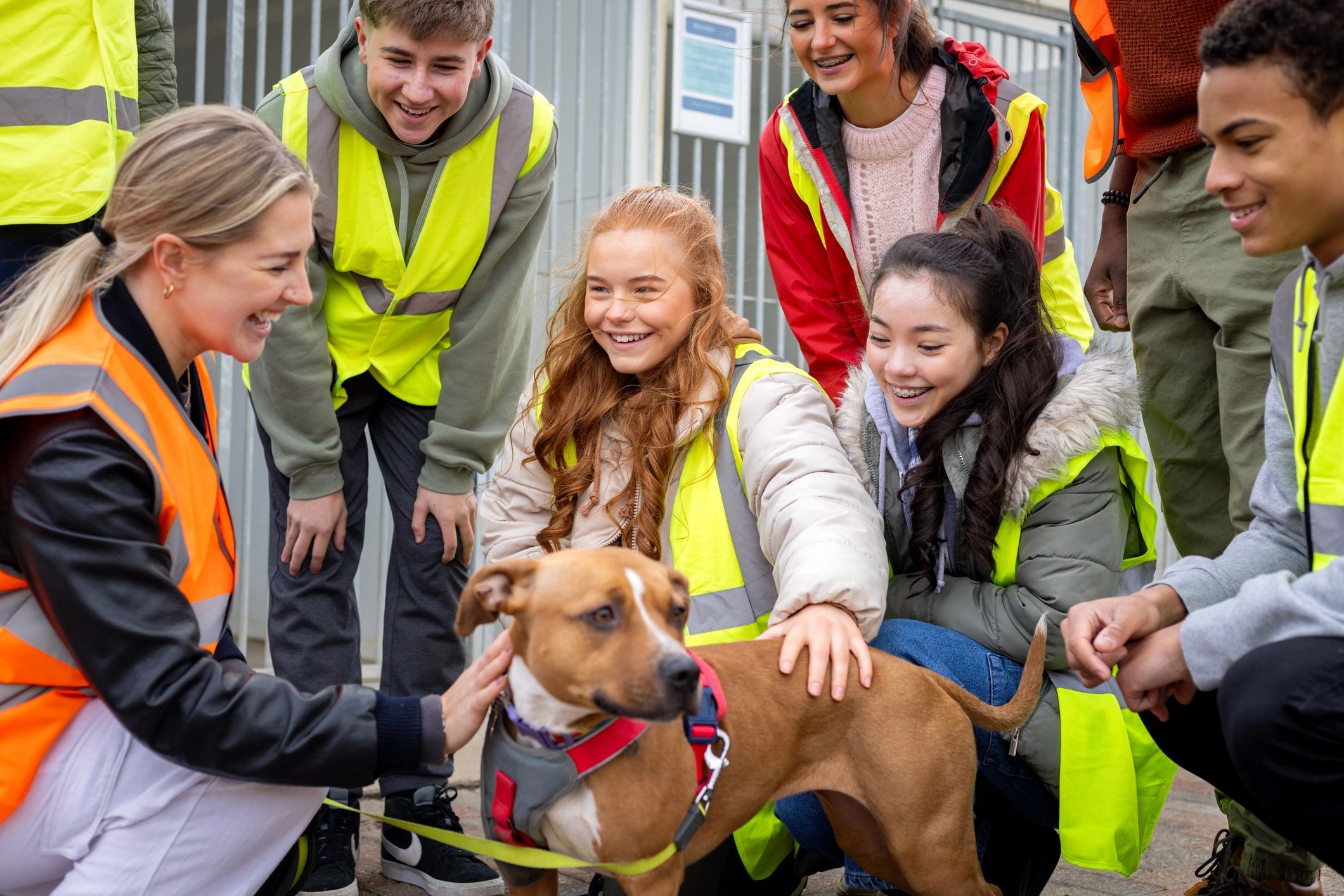 Animal rescue volunteers caring for a dog