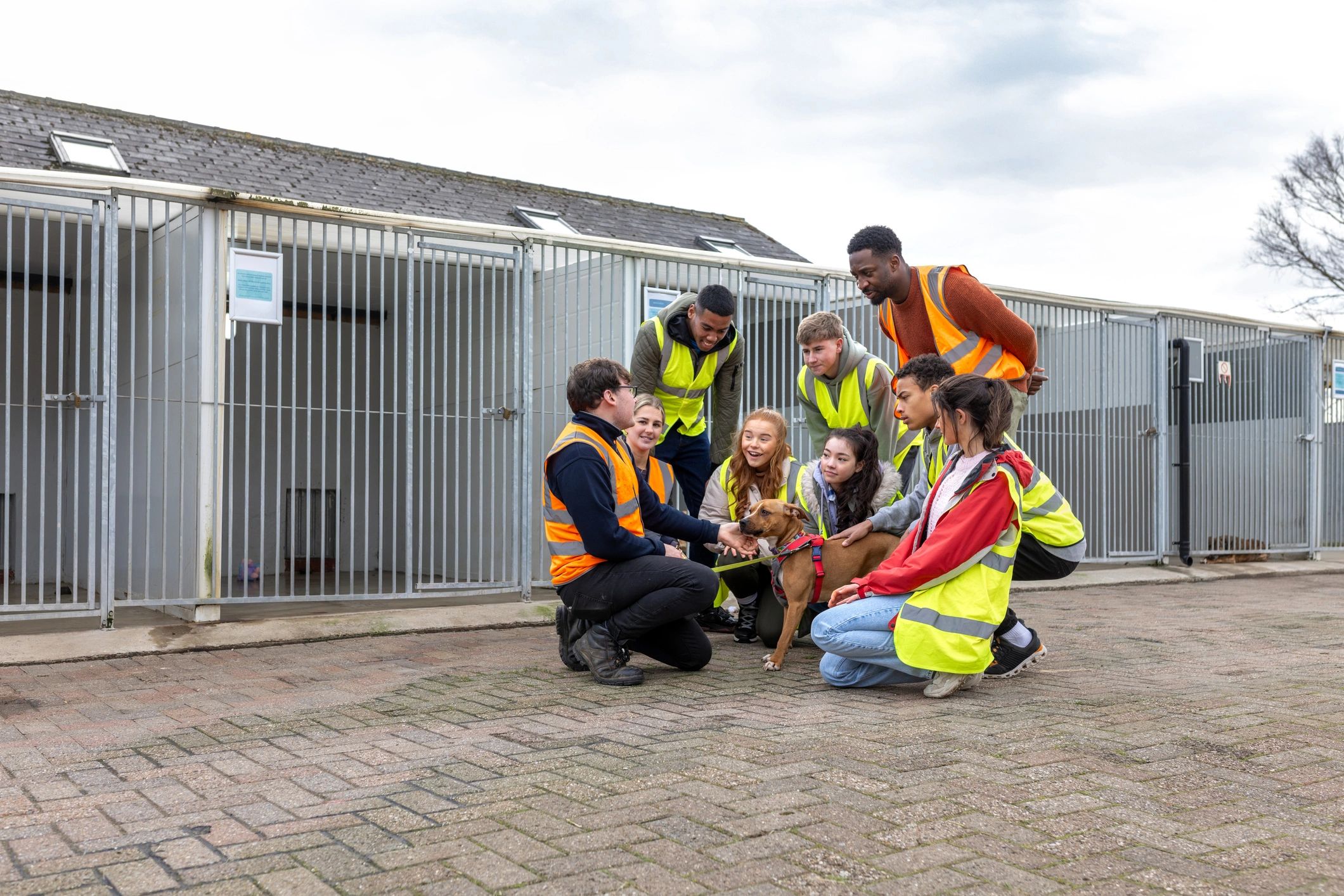 Volunteers caring for a shelter dog outdoors