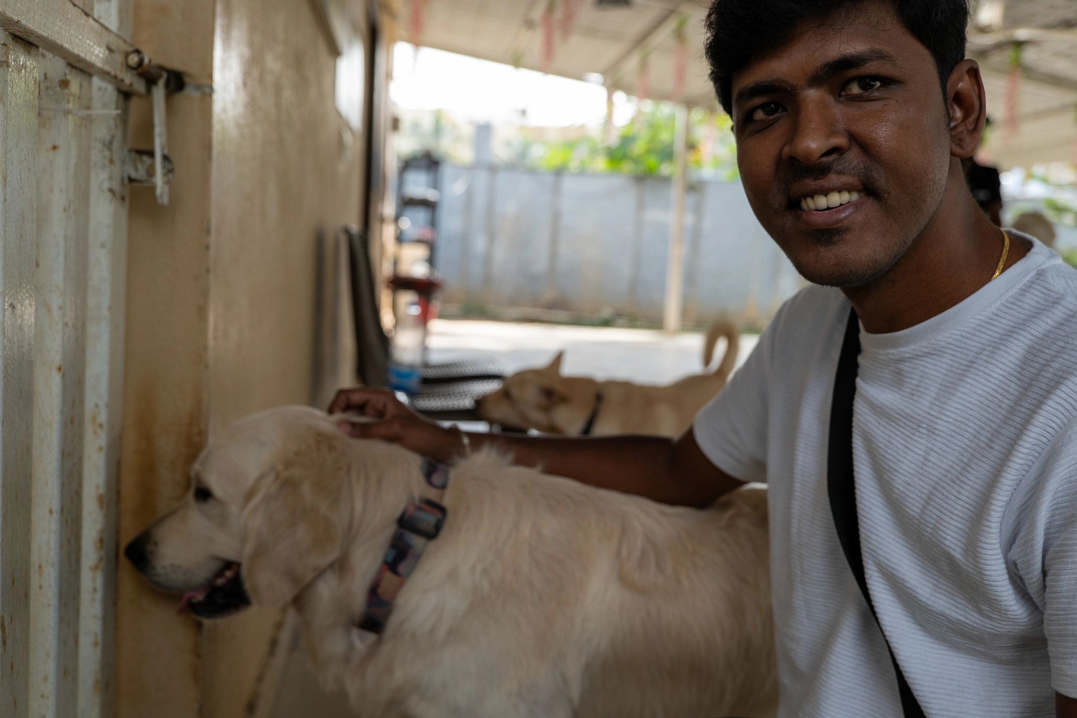 Man caring for dogs
