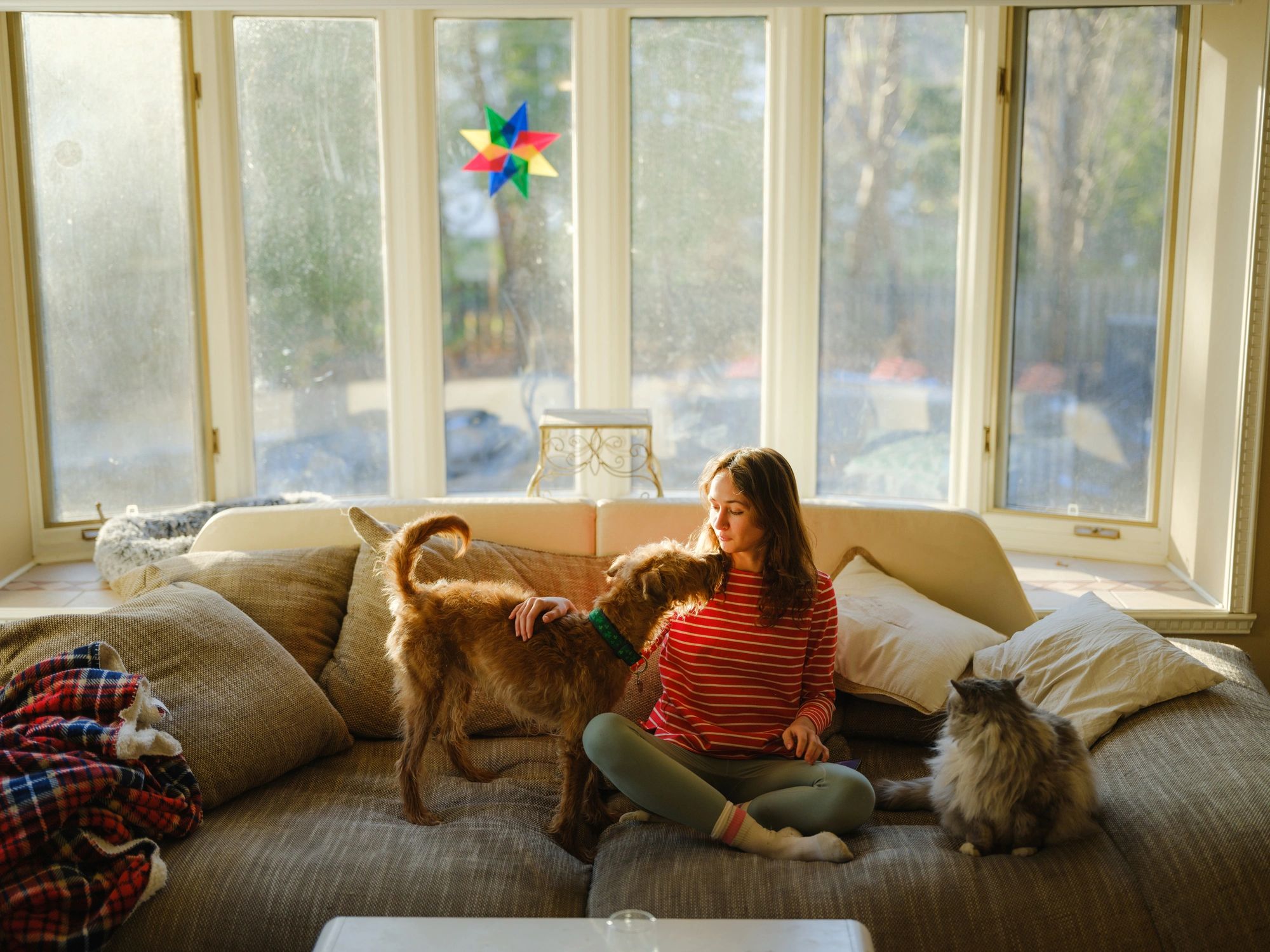 Woman relaxing with a dog and cat at home