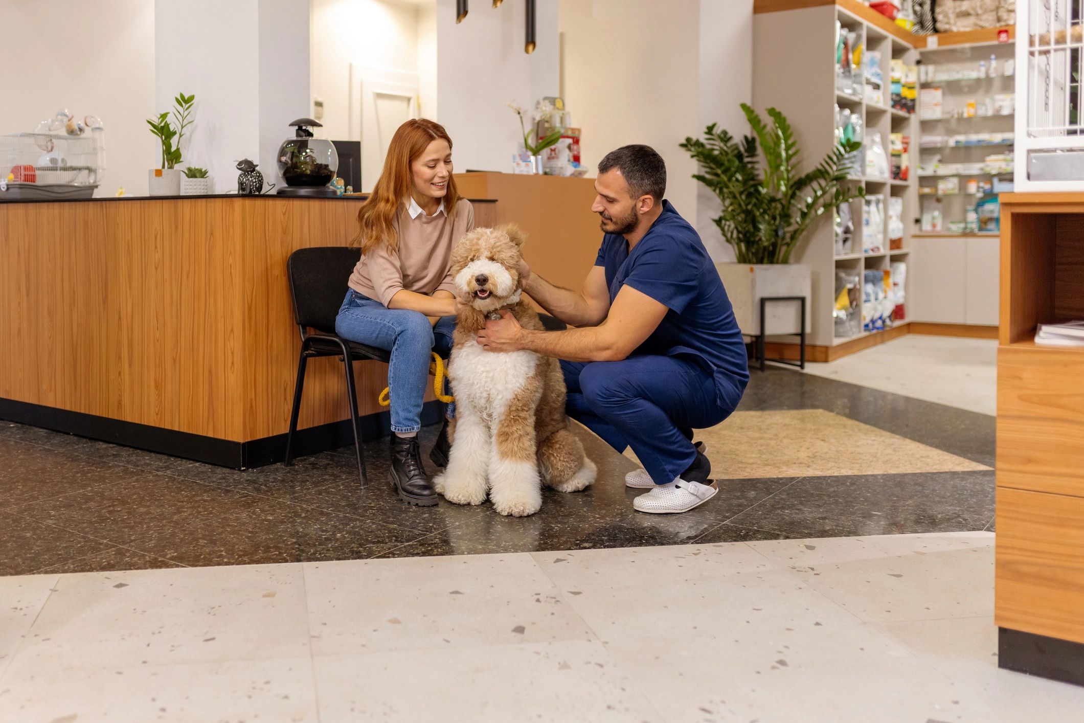 Veterinarian caring for a dog during a consultation